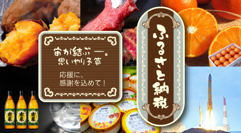 ふるさと納税 ふるさと納税